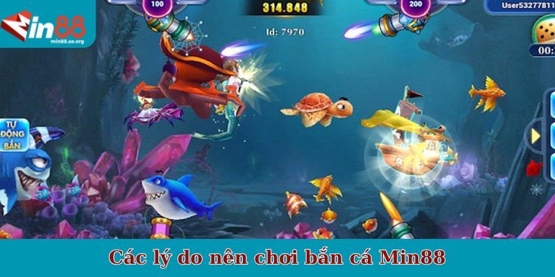 Các lý do nên chơi bắn cá Min88