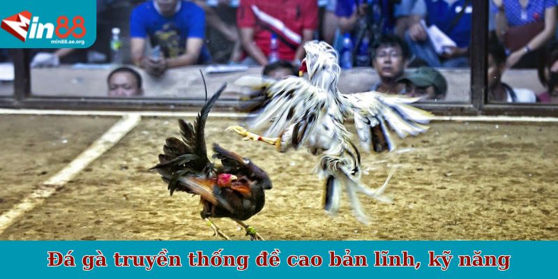 Đá gà truyền thống đề cao bản lĩnh, kỹ năng
