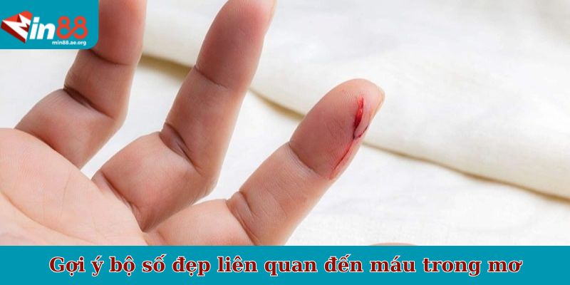 Gợi ý bộ số đẹp liên quan đến máu trong mơ
