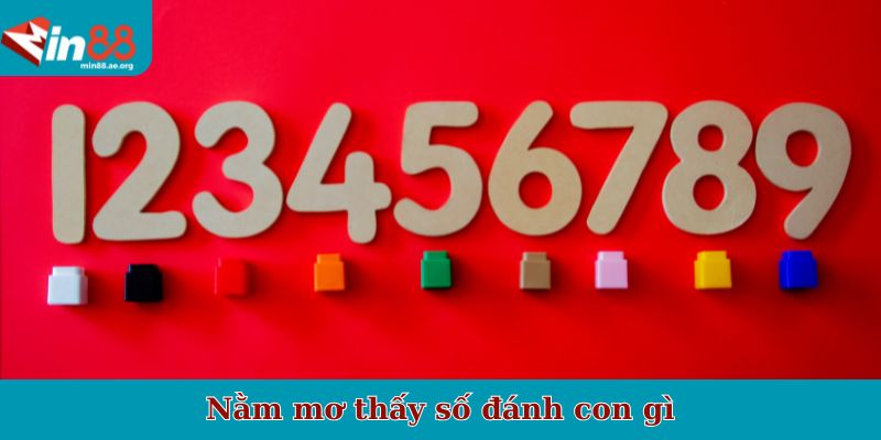 Nằm mơ thấy số đánh con gì